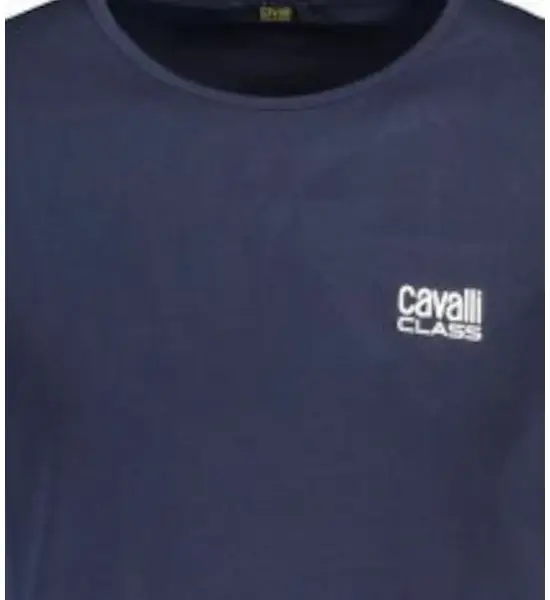cavalli class Ανδρική Μπλούζα t shirt Κοντομάνικη regular fit qxo03ajd003 05051 Μαύρη (Αντιγραφή)