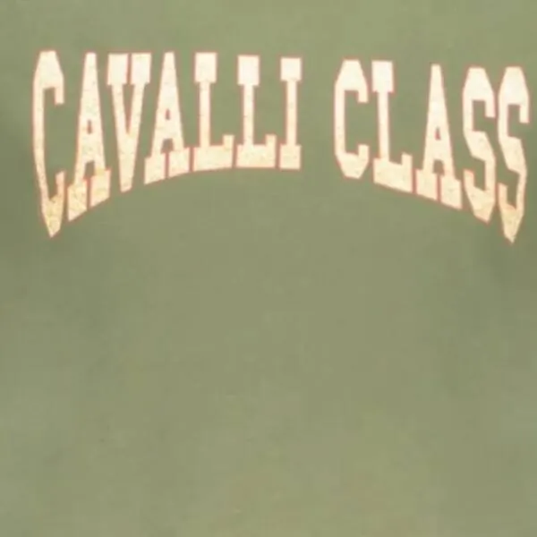 Cavalli Class - Ανδρική Μπλούζα T-Shirt Κοντομάνικη Short Sleeve TXT61AJD060-04050 Λαδί TXT61AJD060-04050