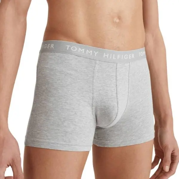 Tommy Hilfiger - Ανδρικά Μποξεράκια 3Pack Essential UM0UM02203-0XK Γκρι UM0UM02203-0XK