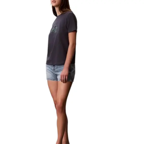 Calvin Klein - Γυναικείο T-Shirt SS Classic Handwriting Logo Tee LV047G800G-4XN Γκρι LV047G800G-4XN