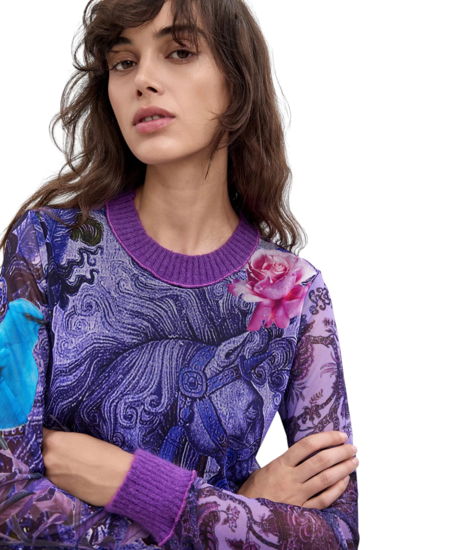 Desigual – Γυναικεία Μπλούζα Horse M. C. Lacroix 26WWTK60-3048 Λιλά (3) Desigual - Γυναικεία Μπλούζα Horse M. C. Lacroix 26WWTK60-3048 Λιλά 26WWTK60-3048