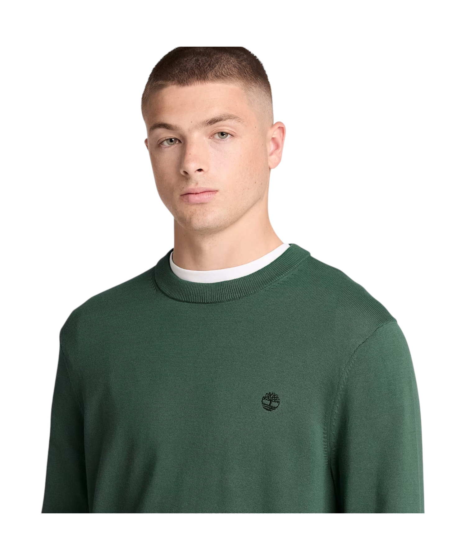 Timberland – Ανδρικό Πλεκτό Πουλόβερ Williams River Cotton Crew Neck TBC0YHAZ-398 Πράσινο (4) Timberland - Ανδρικό Πλεκτό Πουλόβερ Williams River Cotton Crew Neck TBC0YHAZ-398 Πράσινο TBC0YHAZ398