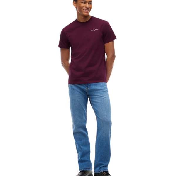 Tommy Hilfiger - Ανδρικό T-shirt Linear Chest Slim Fit DM0DM21780-V11 Μπορντό DM0DM21780-V11