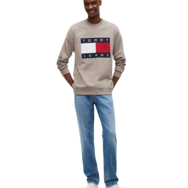 Tommy Hilfiger - Ανδρικό Φούτερ Big Flag Regular Fit DM0DM22643-PKE Μπεζ DM0DM22643-PKE