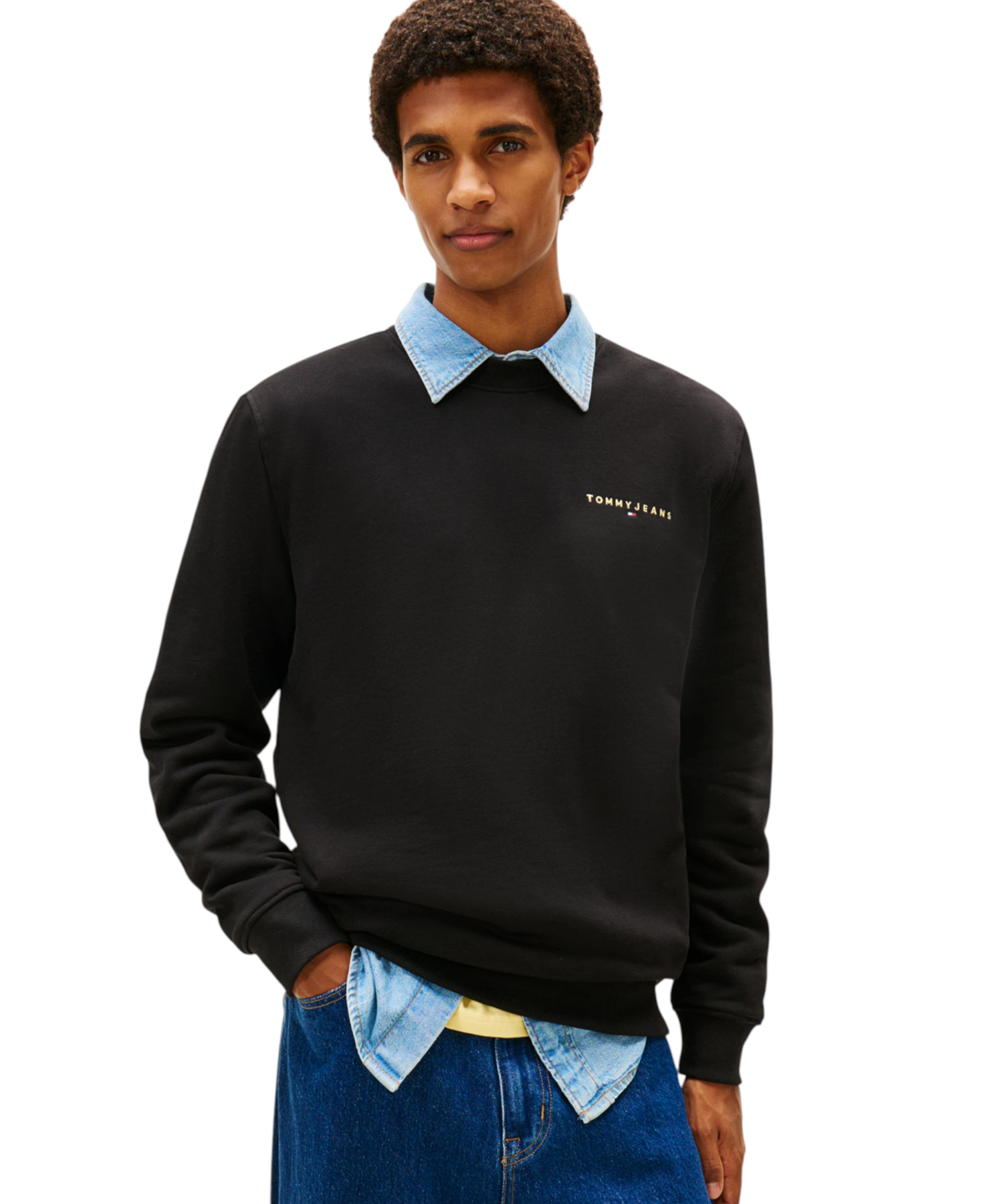 Tommy Hilfiger - Ανδρικό Φούτερ Tjm Linear Regular Fit DM0DM20249-BDS Μαύρο (2) Tommy Hilfiger - Ανδρικό Φούτερ Tjm Linear Regular Fit DM0DM20249-BDS Μαύρο DM0DM20249-BDS